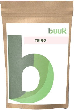 Granos de Trigo