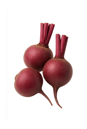 Betabel