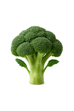 Brócoli