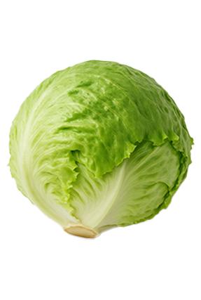 Lechuga bola